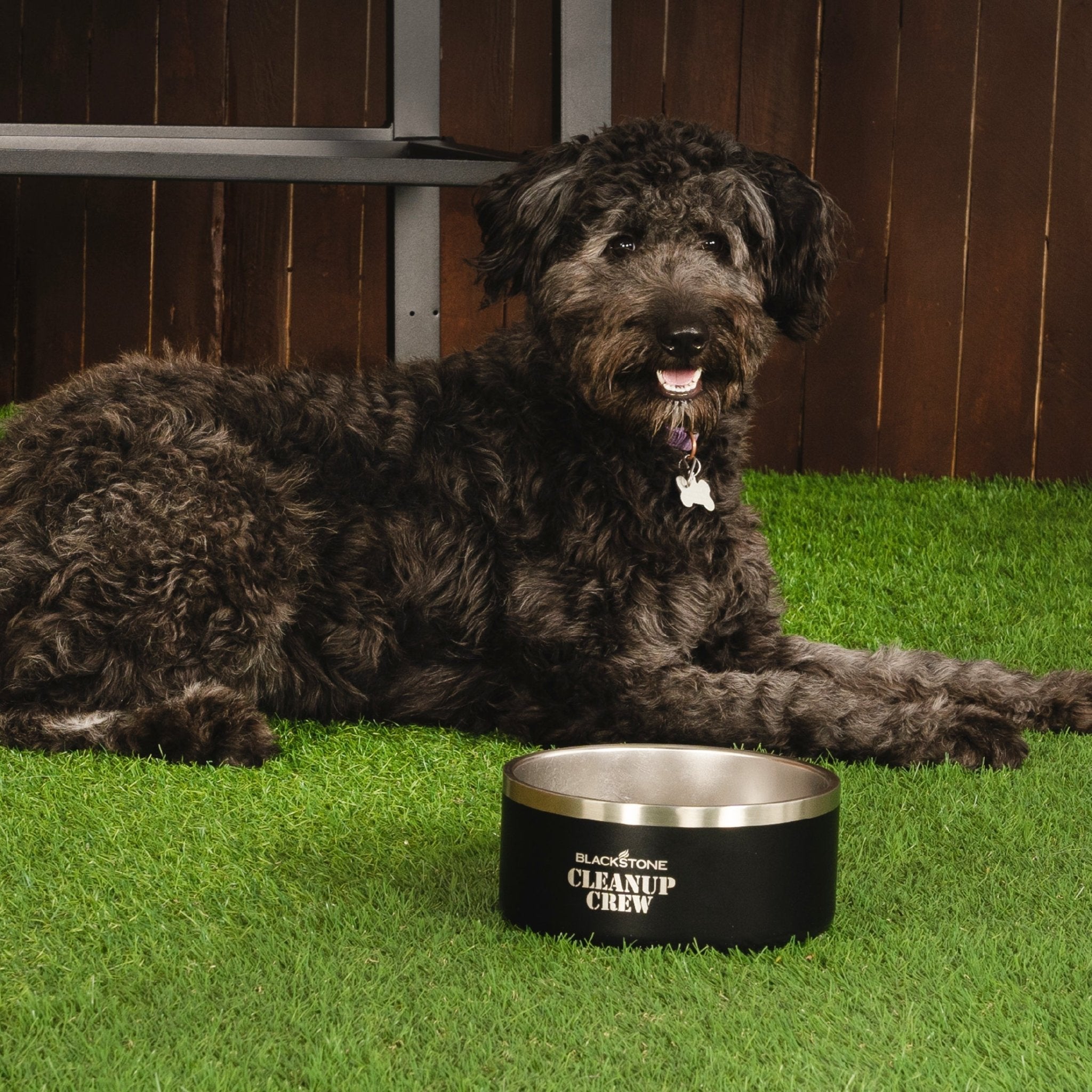 Insulated Dog Bowl